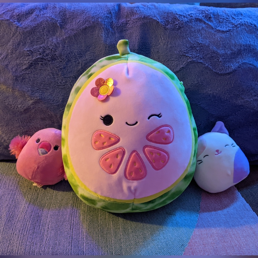 3 Squishmallows Lena the Guava 11" - Charlotte the Cat 5" Cookie the Flamingo 5" - Picture 2 of 11